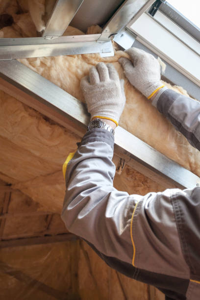 Best Wall Insulation Contractor  in Grosse Pointe Park, MI