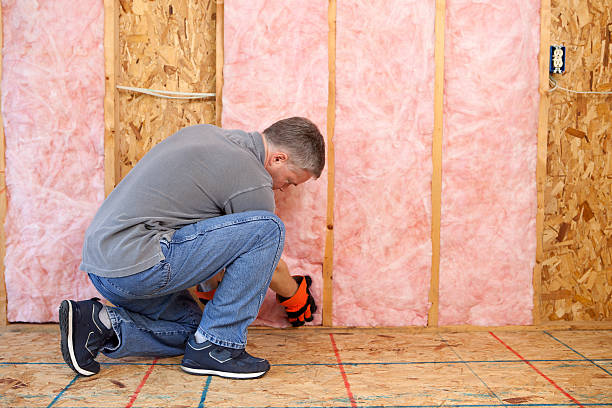 Best Attic Insulation Installation  in Grosse Pointe Park, MI